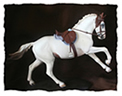 Hunter and jumper tack sets made for model horses by Jana Skybova